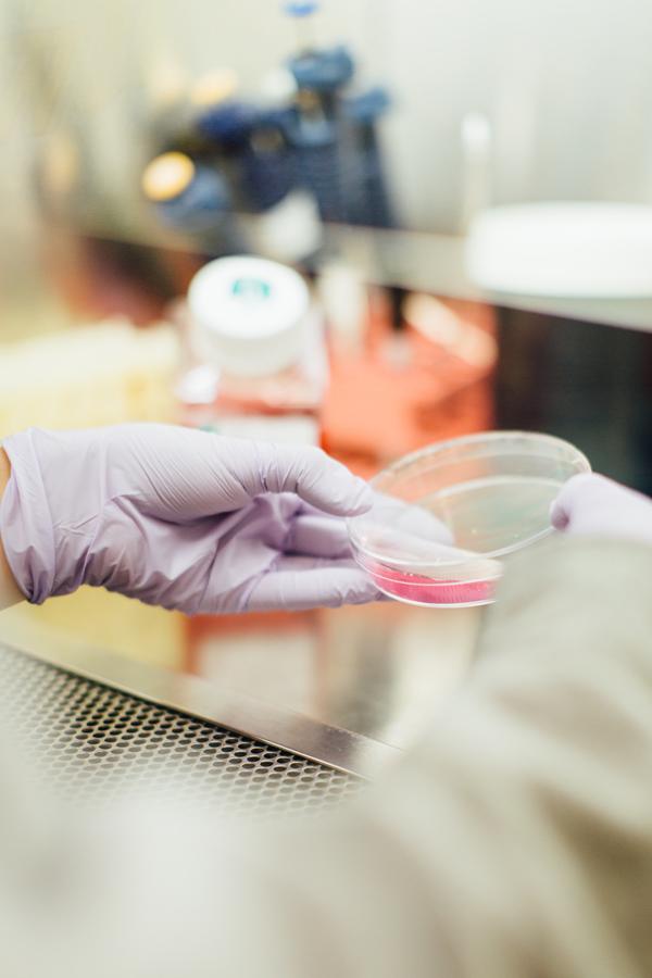 Nowoczesne urządzenia laboratoryjne